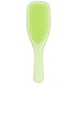 view 1 of 3 The Plant Brush For Fine & Fragile Hair in Cool Matcha