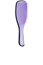 view 2 of 3 The Zodiac Ultimate Detangler in Gemini