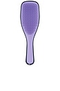 view 3 of 3 The Zodiac Ultimate Detangler in Gemini