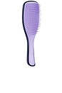 view 2 of 3 The Zodiac Ultimate Detangler in Cancer