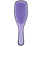 view 3 of 3 The Zodiac Ultimate Detangler in Cancer