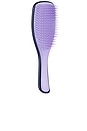 view 2 of 3 The Zodiac Ultimate Detangler in Virgo