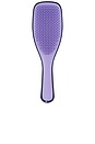 view 3 of 3 The Zodiac Ultimate Detangler in Virgo