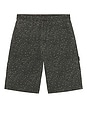 view 6 of 7 SHORT in Leopard
