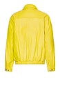 view 2 of 4 Leather Harrington Jacket in Yellow