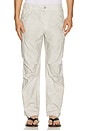 view 1 of 5 Pantalon cargo in Dusty Stone