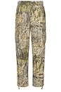 view 1 of 5 Cargo Pant in Camo
