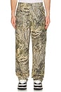 view 4 of 5 Cargo Pant in Camo