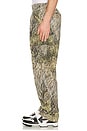 view 5 of 5 Cargo Pant in Camo
