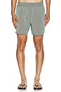 view 1 of 6 Wild Swim Short in Moonroyal