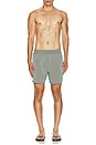view 5 of 6 Wild Swim Short in Moonroyal