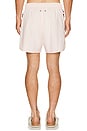 view 4 of 6 Wild Swim Short in Pale Pink