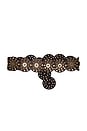 view 2 of 3 Rhapsody Disc Belt in Dark Brown