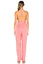 view 3 of 3 Regina Jumpsuit in Pink