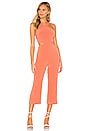 view 1 of 3 Denise Jumpsuit in Salmon