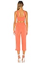 view 3 of 3 Denise Jumpsuit in Salmon