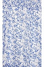 view 5 of 5 SERAFINA ドレス in Country Blue Toile