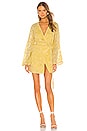 view 1 of 4 Robin Dress in Lemon Drop
