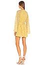 view 3 of 4 Robin Dress in Lemon Drop