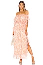 view 1 of 3 Blaire Dress in Blush Poppy Floral