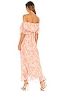 view 3 of 3 Blaire Dress in Blush Poppy Floral