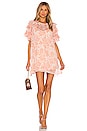 view 1 of 3 Marlena Dress in Blush Poppy Floral