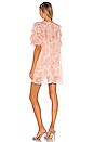 view 3 of 3 Marlena Dress in Blush Poppy Floral