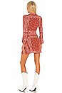 view 3 of 3 Ashling Dress in Rust Bandana