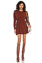 view 1 of 3 Della Dress in Rust