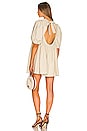 view 1 of 3 Sydney Mini Dress in Sandstone