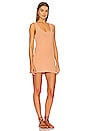 view 2 of 3 Green Nora Mini Dress in Apricot
