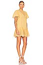 view 2 of 4 Zaza Mini Dress in Golden Spice