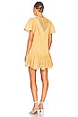 view 3 of 4 Zaza Mini Dress in Golden Spice
