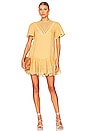 view 4 of 4 Zaza Mini Dress in Golden Spice