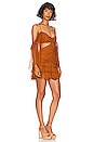 view 2 of 3 Althea Mini Dress in Golden Spice