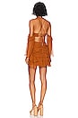 view 3 of 3 Althea Mini Dress in Golden Spice
