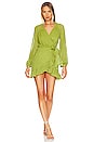 view 1 of 4 Dahlia Mini Dress in Green