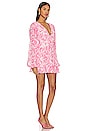view 2 of 3 Clara Mini Dress in Pink Pamila Palms