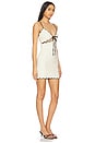 view 2 of 3 Tashi Mini Dress in Ivory & Black