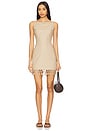 view 1 of 3 Lexia Mini Dress in Beige
