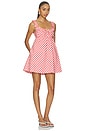 view 2 of 4 Rae Mini Dress in Red Gingham