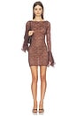 view 1 of 4 Molley Mini Dress in Brown
