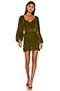 view 1 of 3 Rosa Dress in Moss Green