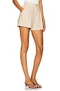 view 2 of 6 Andra Short in Natural Linen