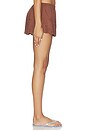 view 3 of 6 Tessia Short in Brown