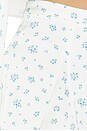 view 6 of 6 Dallen Short in Ivory & Blue Floral
