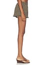 view 4 of 7 Evelynn Short in Brown Gingham