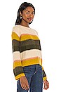 view 2 of 4 Edith Sweater in Botanical Stripe