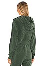 view 3 of 4 Cropped Zip Hoodie in Pine Green