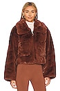 view 2 of 5 Charlie Teddy Faux Fur Jacket in Cappuccino